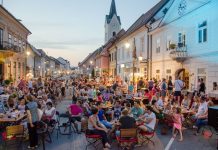 Brežice: Prireditev Dobrodošli doma privabila okoli tisoč obiskovalcev