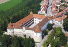 Festival Brežice, moje mesto v polnem teku