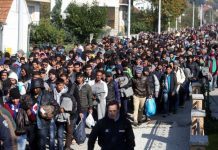 Notranji ministri EU pritrdili Janši, da EU ne bo koridor za Afganistance
