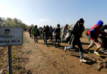 Prijeli 14 ilegalnih migrantov