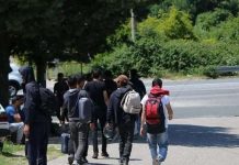 Na območju Brežic prijeli 9 ilegalnih migrantov