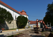 Ob urejanju Prešernove ceste v Brežicah bo obnovljen tudi kostanjev drevored