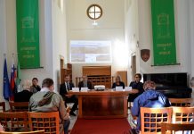 Pet posavskih občin bo zelenilo površine z evropskimi sredstvi
