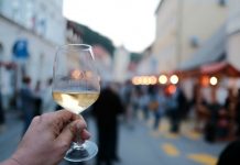 V Krškem danes festival vina, kulinarike in umetnosti