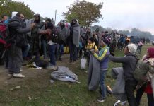 Kot kaže, se nova migrantska pot usmerja tudi v Posavje