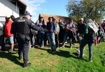 Izsledili in prijeli 29 ilegalnih migrantov