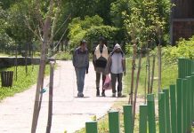 Včeraj prijeli pet ilegalnih migrantov