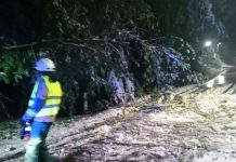 Brez električne energije kar 536 gospodinjstev