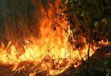 Razglašena velika požarna ogroženost naravnega okolja