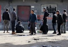 Na območju Brežic, Kostanjevice na Krki in na Bizeljskem prijeli 12 migrantov