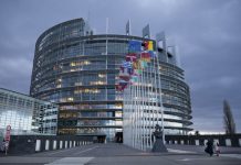 Pravila za spremljanje volilne kampanje za Evropski parlament