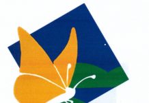 Krško: Zmagovalcu 5000 evrov