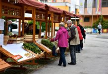Deveti Eko praznik z ekološko tržnico pri osnovni šoli Brežice