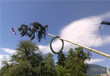 Ali veste, od kod izvira postavljanje mlajev?