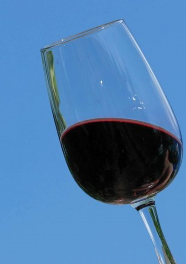 Mp vino modra frankinja (2)