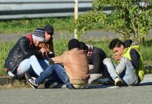 Na železniški postaji v Sevnici prijeli 5 ilegalcev