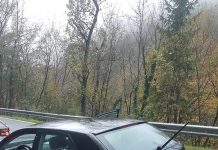 Migranta Posavcu ukradla audi in ga razbila