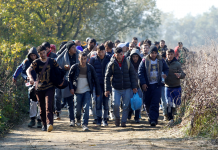 Kriminalna združba iz Posavja izvajala prevoze migrantov