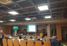 Poglejte, kaj vse bodo v Krškem gradili prihodnje leto