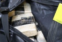Skozi Dobovo v potovalni torbi skušal pretihotapiti 13,3 kilograma heroina