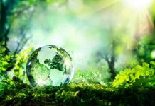 Občinam Brežice in Krško naziv Planetu Zemlja prijazna občina