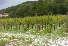 Narasle vode 2. junija po državi povzročile za 8 milijonov evrov škode