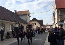 Kostanjeviška Šalmerija še enkrat več navdušila z bogato pustno povorko