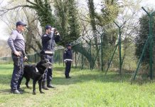 Zelena luč za skupne patrulje na slovensko-hrvaški meji