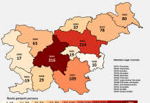 Posavje je regija z najmanj okuženimi s koronavirusom