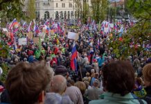 Vidni posamezniki pozivajo k podpisu peticije v podporo vladi