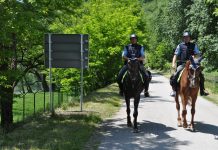 Na Bizeljskem zasačili Hrvata s polnim avtomobilom Turkov