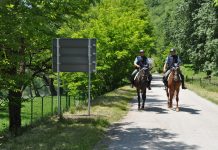 Slovenija bo očitno odstopila od škodljive marakeške deklaracije