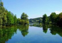 Reka Krka povsod v Posavju primerna za kopanje