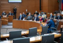SDS vložila predlog za razpis posvetovalnega referenduma o povečanju števila ministrstev