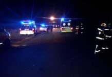 Radna: Z avtomobilom v drevo