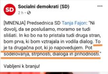 Tanja Fajon: Napovedovala drugačno pot, zdaj vlaga serijo interpelacij
