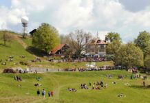 Javni sklad in občina s fotografskim natečajem na temo Lisce