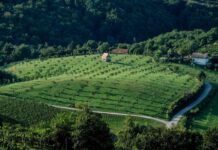 Občina Krško med občani z anketo preverja zadovoljstvo z razvojem turizma