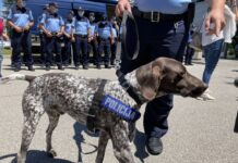 Medaljo za hrabrost bodo prejeli tudi štirje posavski policisti