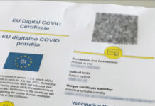 Informacijska pooblaščenka: Zakon dovoljuje vpogled v osebni dokument ob preverjanju pogoja PCT