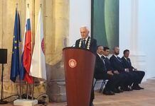 Petretič posthumno razglašen za častnega občana Kostanjevice na Krki
