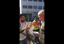 Video: Član dueta Slon in sadež Trohi obljublja jurja, če dokaže neobstoj virusa