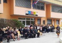 Osnovna šola Brežice praznuje 50 let