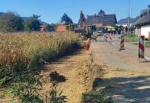 V brežiški občini pospešeno gradijo kolesarsko povezavo od Brežic do Dobove