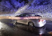 Sneg: Pri kraju Arto v občini Sevnica vozilo v podrto drevo na cesti
