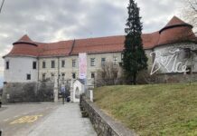 Brežice: Koncertna opera Carmen