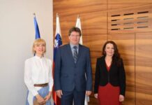 Brežice: 17 let vodenja župana Ivana Molana