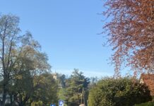 Neverjetno: Mariborski župan napadel in pretepel tujega otroka (slike)