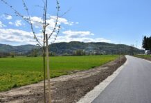 Gradnji kolesarskih povezav od Brežic do Dobove in do Krške vasi potekata po načrtih