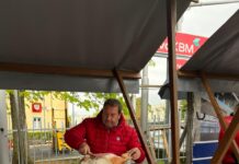 Nekdanji ekscentrični poslanec Bandelli zapušča Gibanje Svoboda